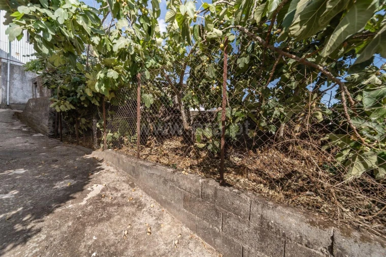 Moradia T3 para Venda em Barco e Coutada Foto 2