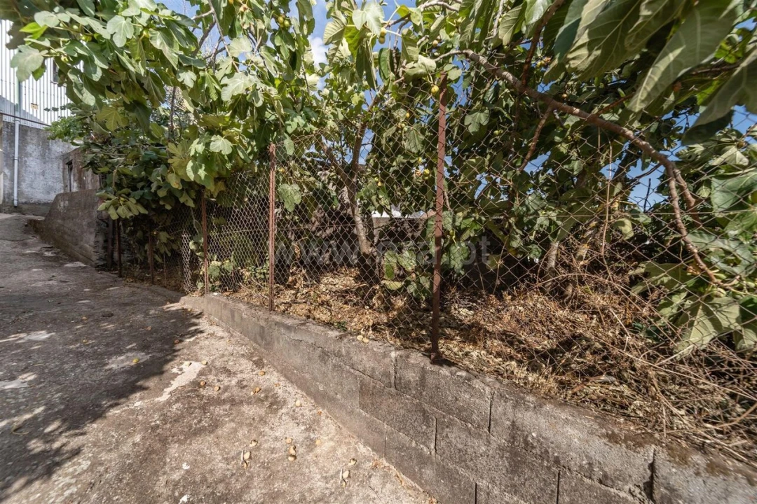 Moradia T3 para Venda em Barco e Coutada Foto 2