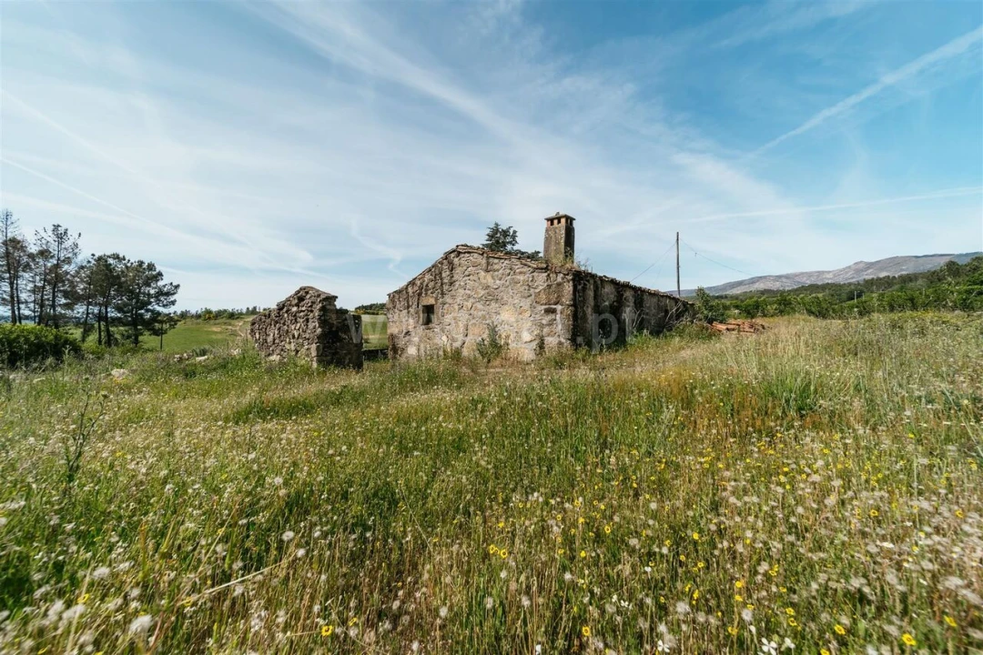 Quinta T5 para Venda em Teixoso e Sarzedo Foto 14