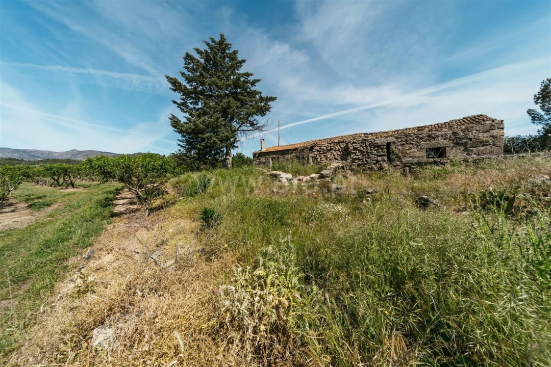 Quinta T5 para Venda em Teixoso e Sarzedo Foto 12