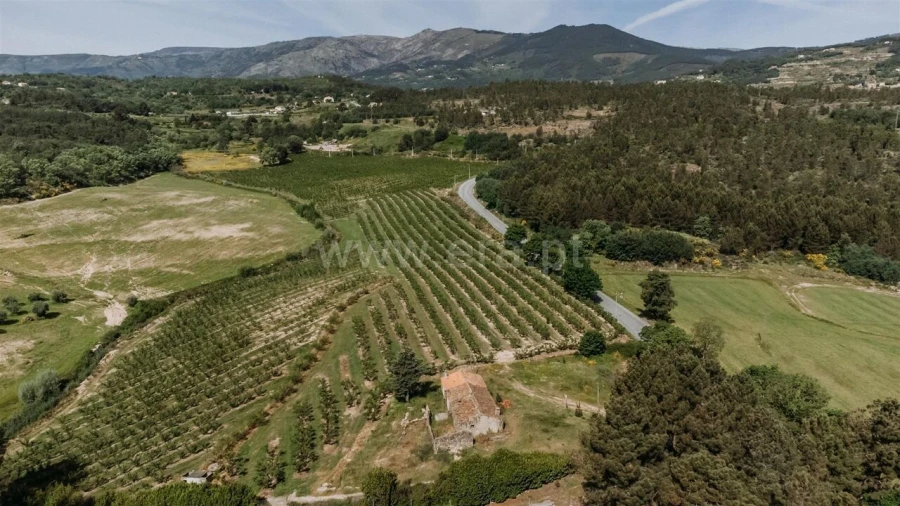 Quinta T5 para Venda em Teixoso e Sarzedo Foto 6