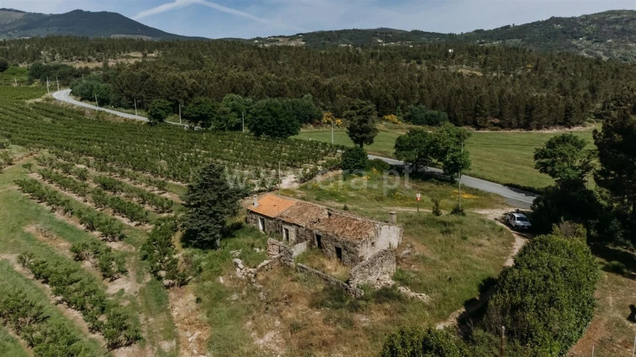 Quinta T5 para Venda em Teixoso e Sarzedo Foto 8