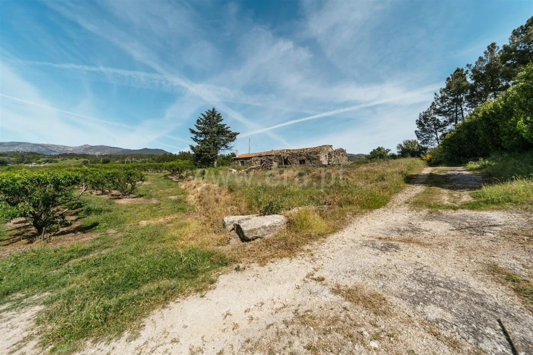 Quinta T5 para Venda em Teixoso e Sarzedo Foto 10