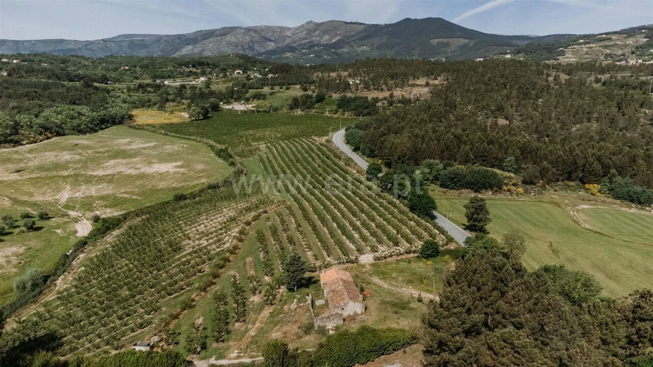 Quinta T5 para Venda em Teixoso e Sarzedo Foto 6