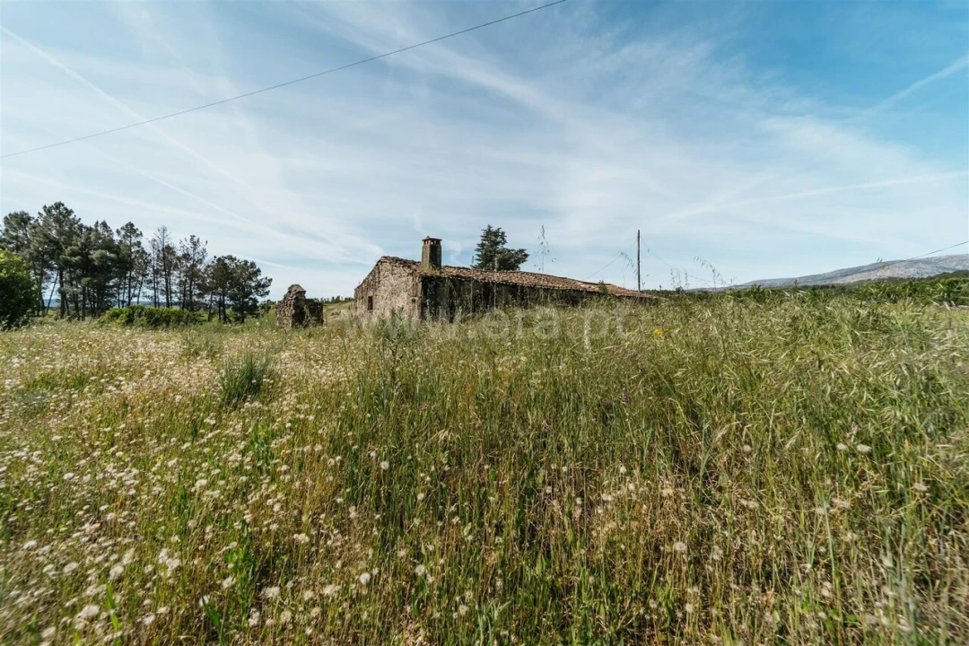 Quinta T5 para Venda em Teixoso e Sarzedo Foto 15