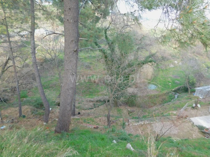 Terreno para Venda em Covilhã e Canhoso Foto 5