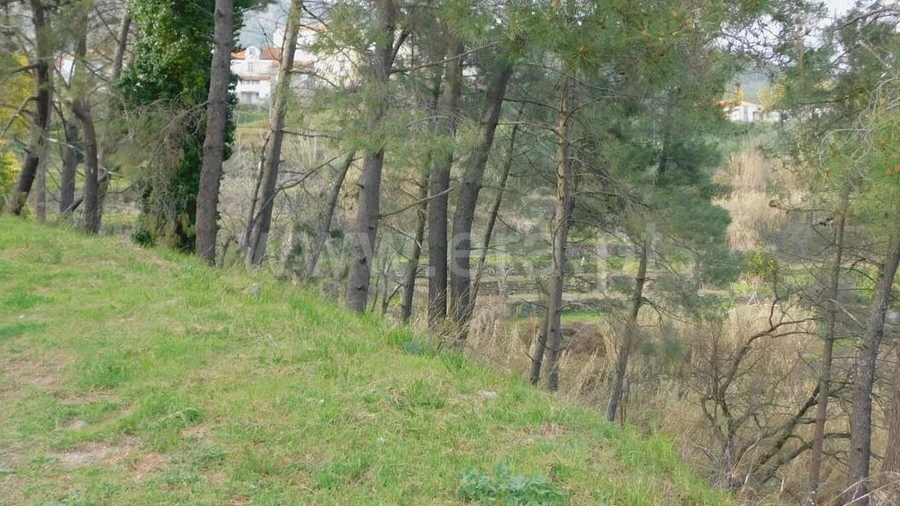 Terreno para Venda em Covilhã e Canhoso