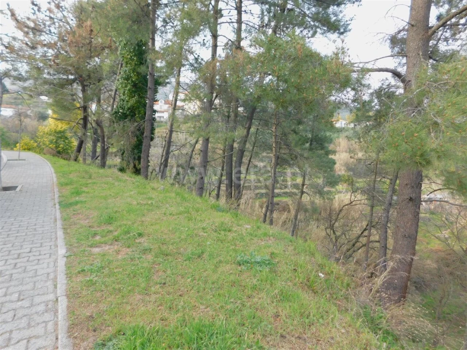 Terreno para Venda em Covilhã e Canhoso Foto 3