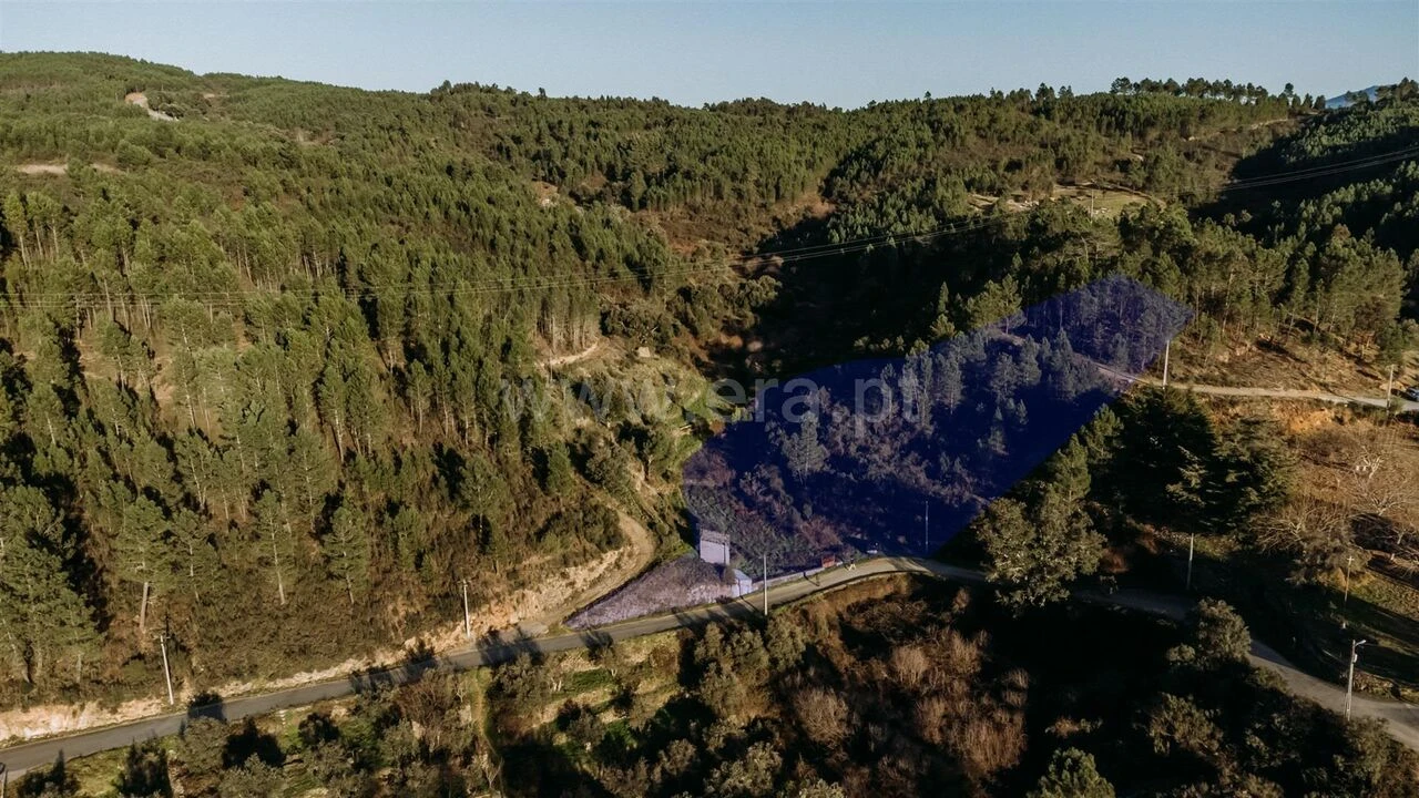 Terreno para Venda em Casegas e Ourondo Foto 10