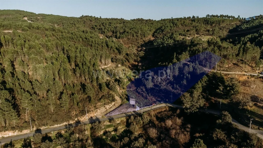 Terreno para Venda em Casegas e Ourondo Foto 10