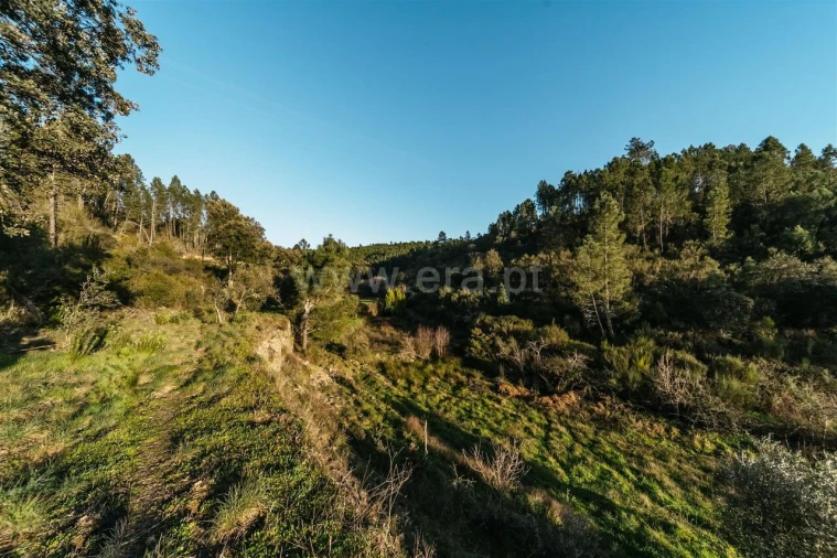 Terreno para Venda em Casegas e Ourondo Foto 6
