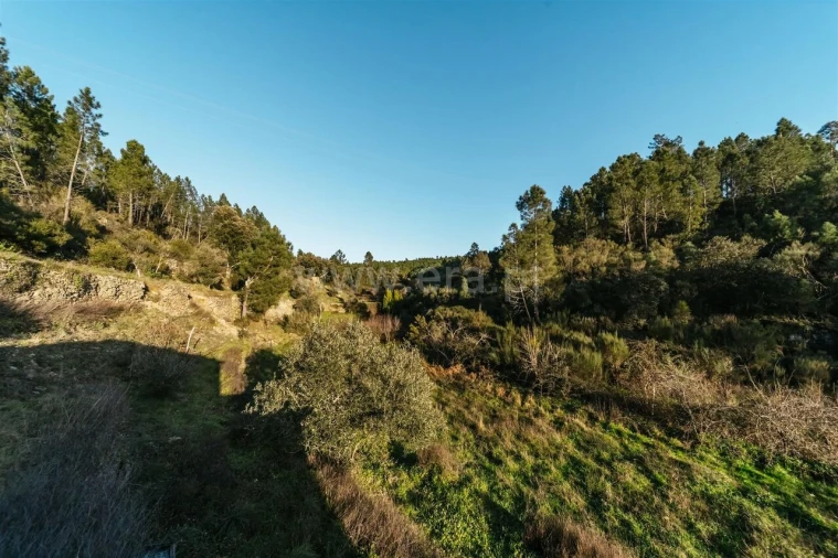 Terreno para Venda em Casegas e Ourondo Foto 5