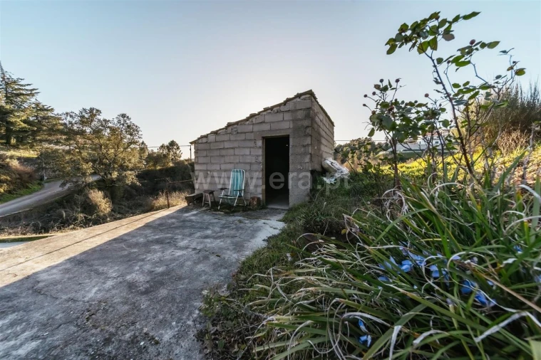 Terreno para Venda em Casegas e Ourondo Foto 7