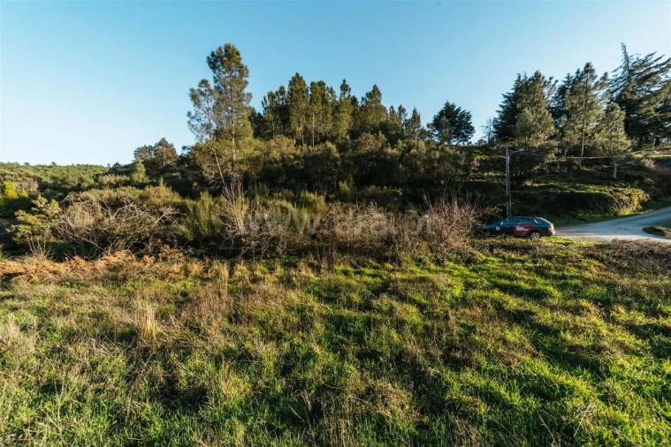 Terreno para Venda em Casegas e Ourondo Foto 15
