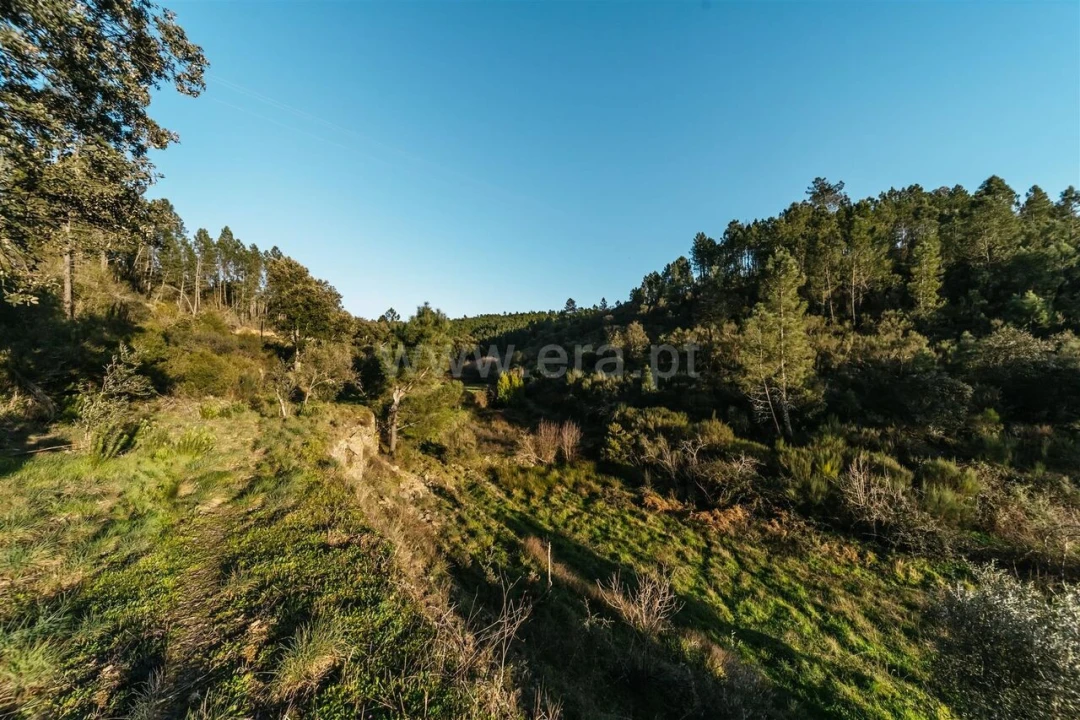 Terreno para Venda em Casegas e Ourondo Foto 6