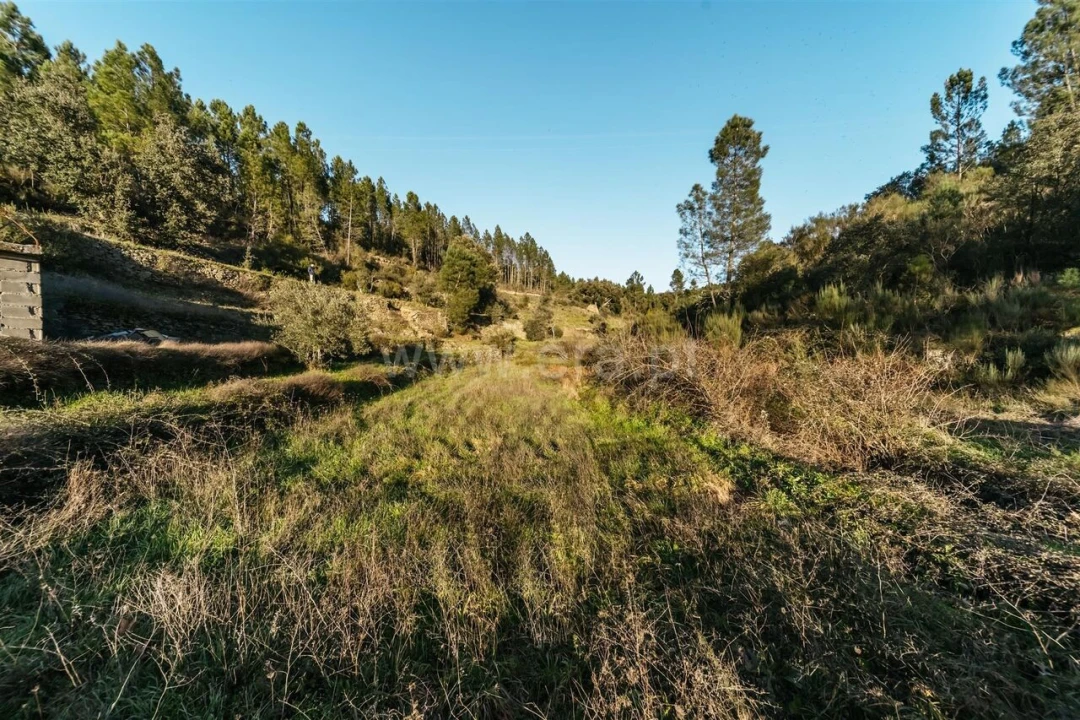 Terreno para Venda em Casegas e Ourondo Foto 2