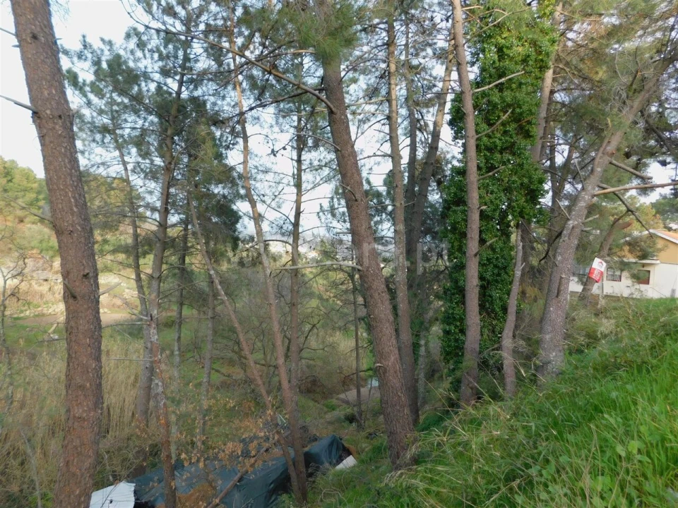 Terreno para Venda em Covilhã e Canhoso Foto 4