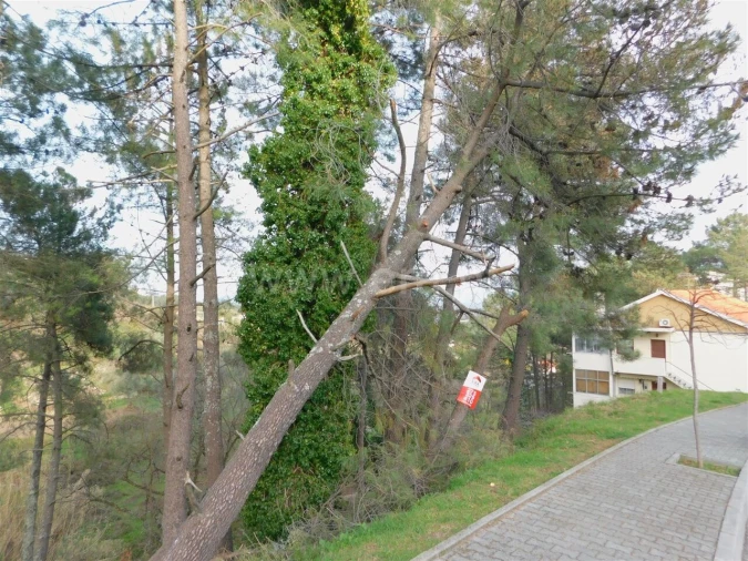 Terreno para Venda em Covilhã e Canhoso Foto 3