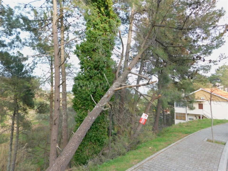 Terreno para Venda em Covilhã e Canhoso Foto 3