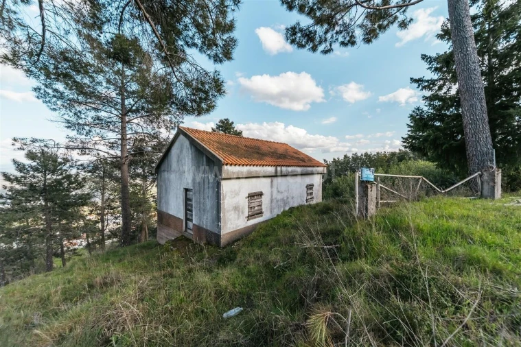 Quinta T3 para Venda em Cantar-Galo e Vila do Carvalho Foto 2