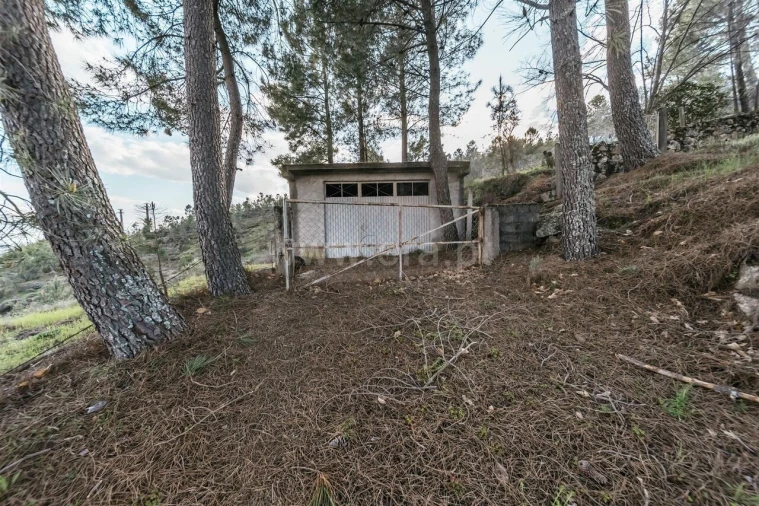 Quinta T3 para Venda em Cantar-Galo e Vila do Carvalho Foto 13