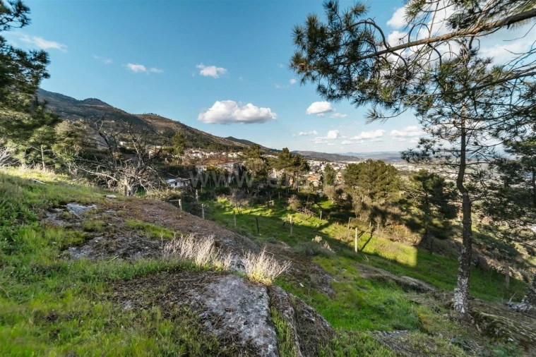 Quinta T3 para Venda em Cantar-Galo e Vila do Carvalho Foto 3