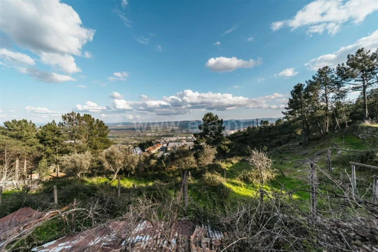 Quinta T3 para Venda em Cantar-Galo e Vila do Carvalho Foto 7