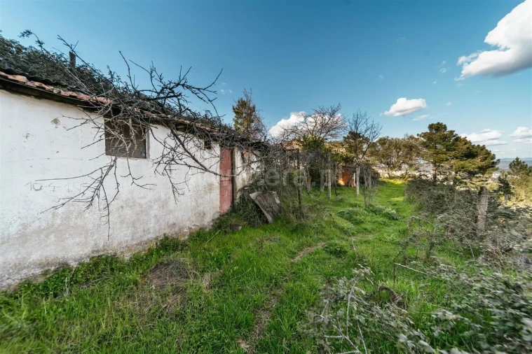 Quinta T3 para Venda em Cantar-Galo e Vila do Carvalho Foto 5