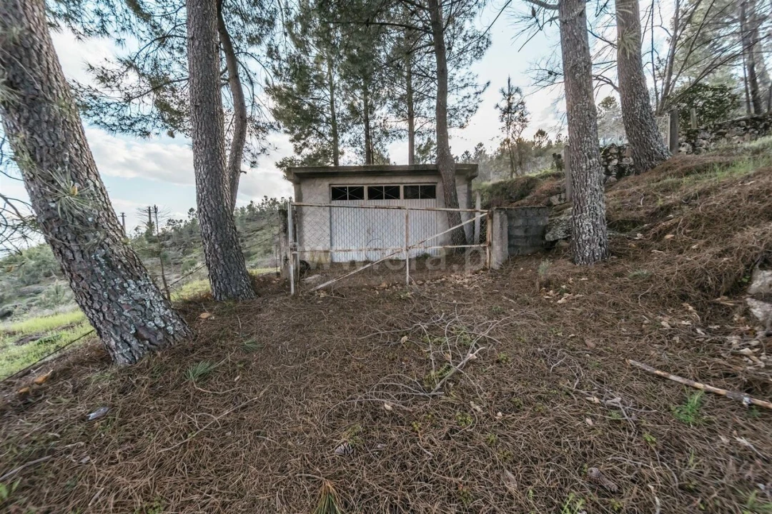 Quinta T3 para Venda em Cantar-Galo e Vila do Carvalho Foto 13