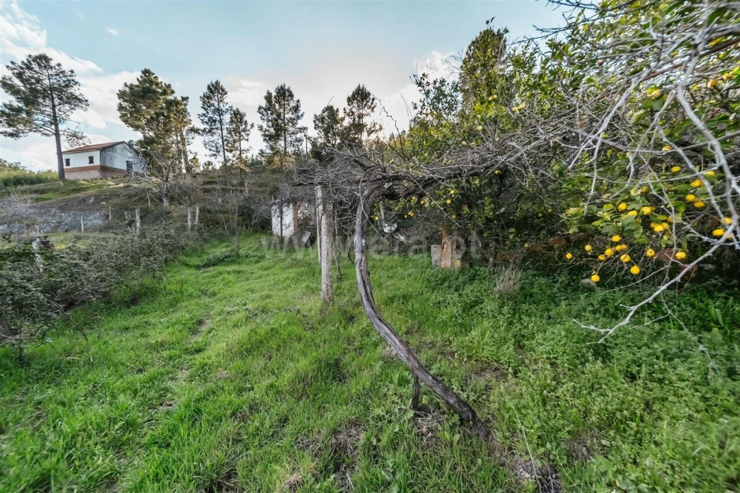Quinta T3 para Venda em Cantar-Galo e Vila do Carvalho Foto 14