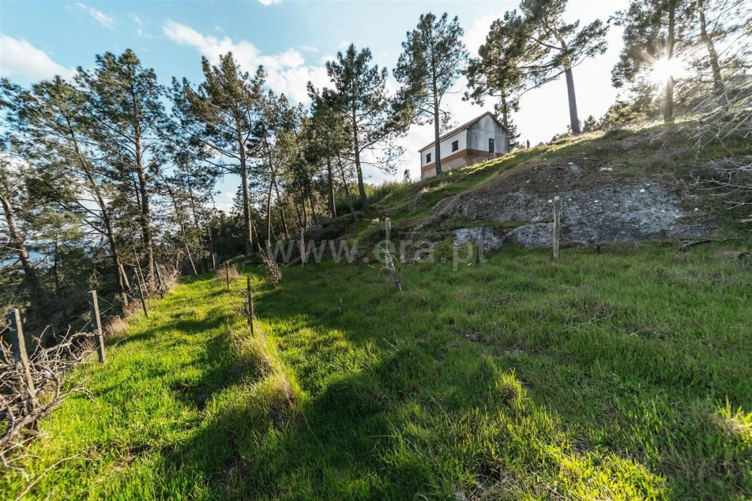 Quinta T3 para Venda em Cantar-Galo e Vila do Carvalho Foto 1