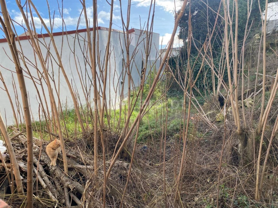 Terreno para Venda em Covilhã e Canhoso Foto 3