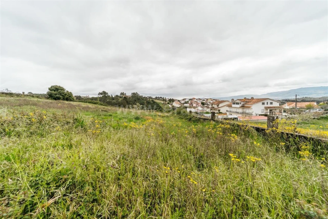 Terreno para Venda em Peso e Vales do Rio Foto 9