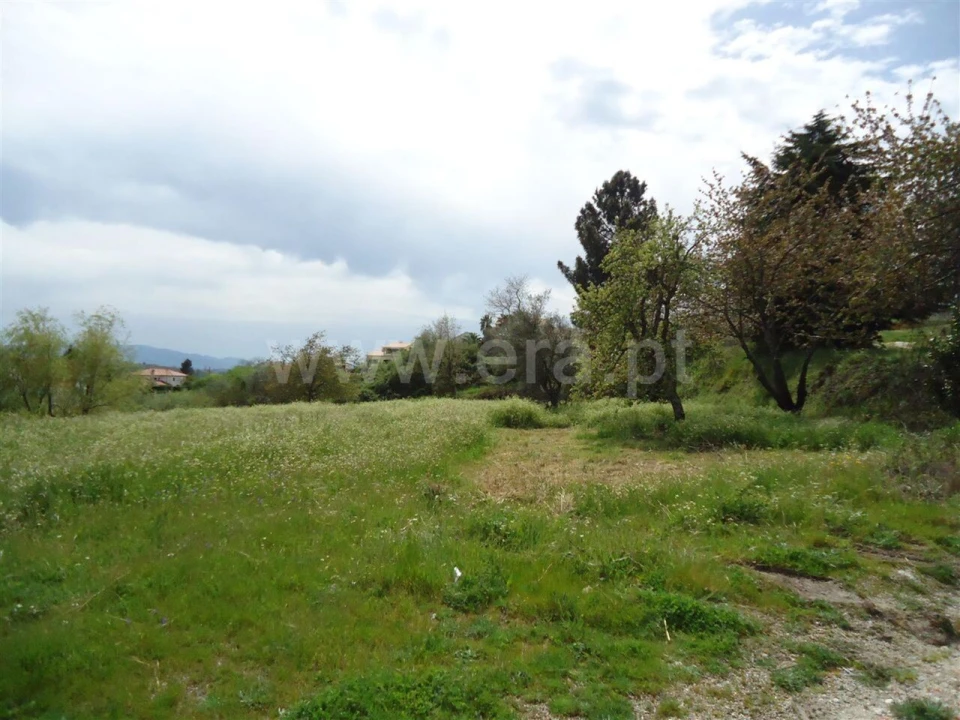 Terreno para Venda em Teixoso e Sarzedo Foto 5