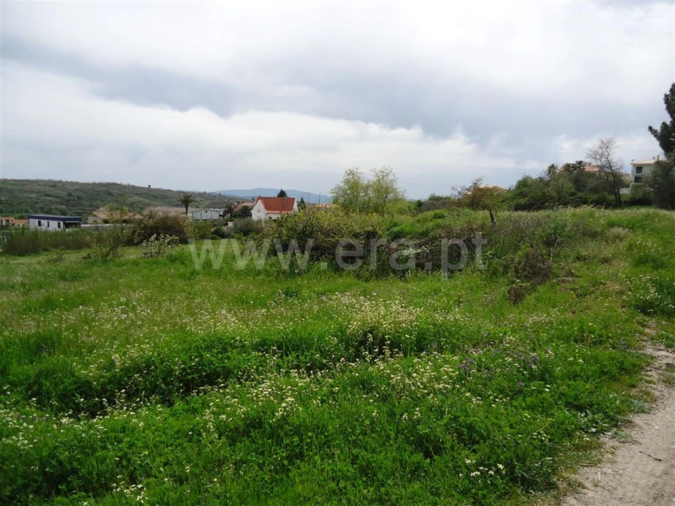 Terreno para Venda em Teixoso e Sarzedo Foto 4