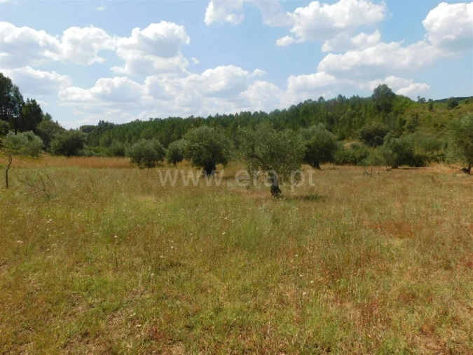 Terreno para Venda em Barco e Coutada Foto 6