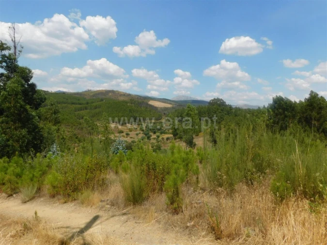 Terreno para Venda em Barco e Coutada