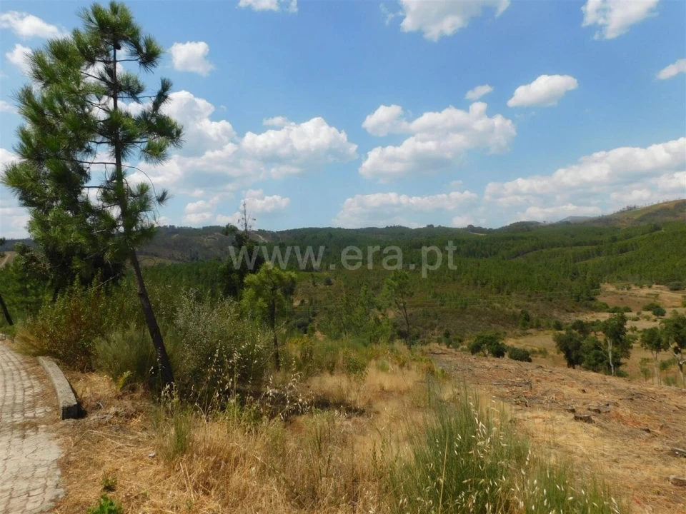 Terreno para Venda em Barco e Coutada Foto 13