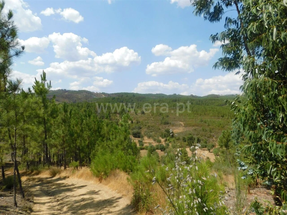 Terreno para Venda em Barco e Coutada Foto 10