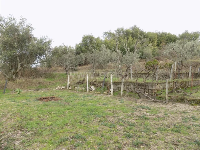 Quinta T1 para Venda em Teixoso e Sarzedo Foto 11