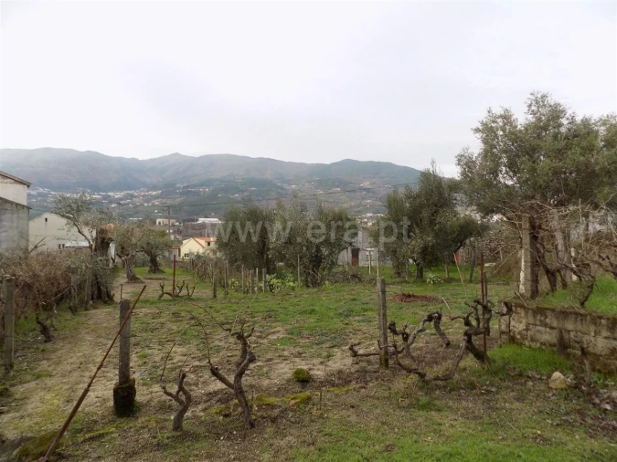 Quinta T1 para Venda em Teixoso e Sarzedo Foto 12