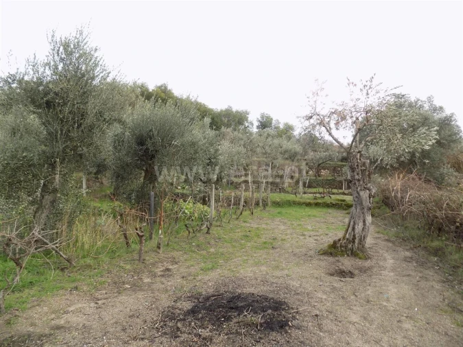 Quinta T1 para Venda em Teixoso e Sarzedo Foto 10