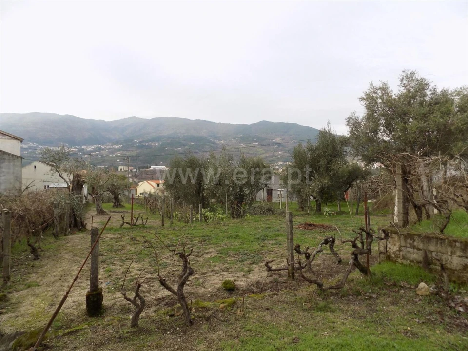 Quinta T1 para Venda em Teixoso e Sarzedo Foto 12