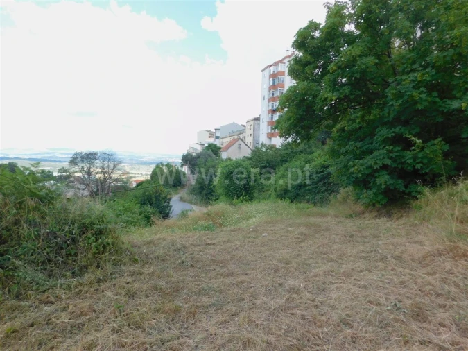 Terreno para Venda em Covilhã e Canhoso Foto 4