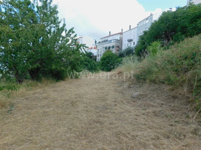 Terreno para Venda em Covilhã e Canhoso Foto 2