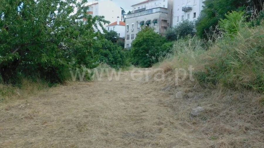 Terreno para Venda em Covilhã e Canhoso