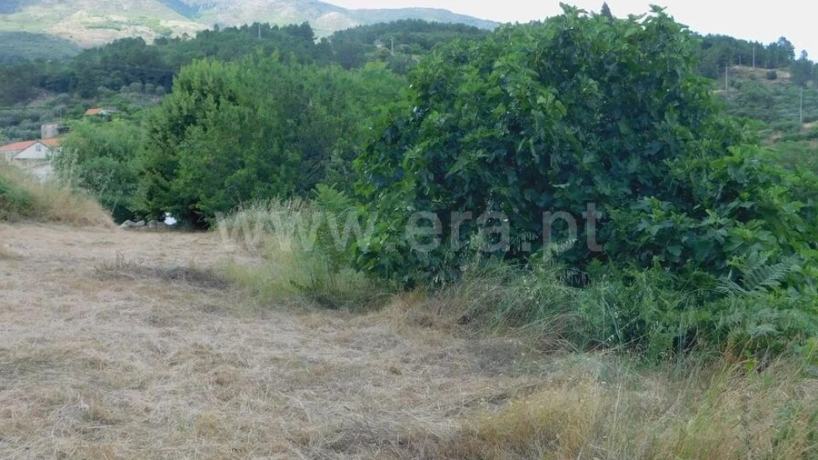 Terreno para Venda em Covilhã e Canhoso