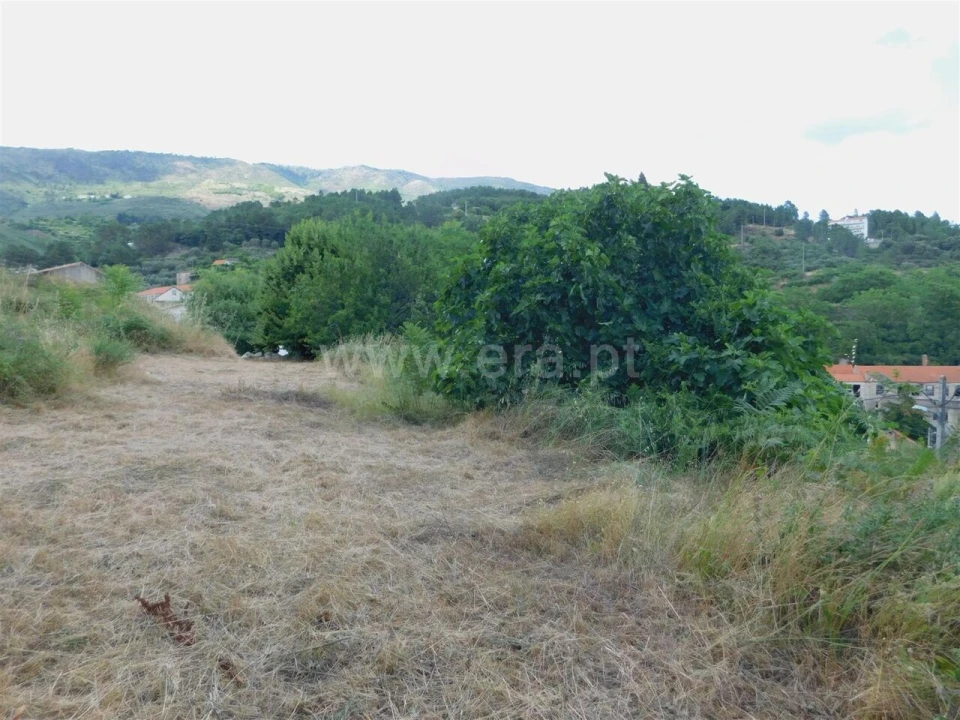Terreno para Venda em Covilhã e Canhoso Foto 1