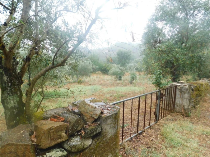 Terreno para Venda em Casegas e Ourondo Foto 2