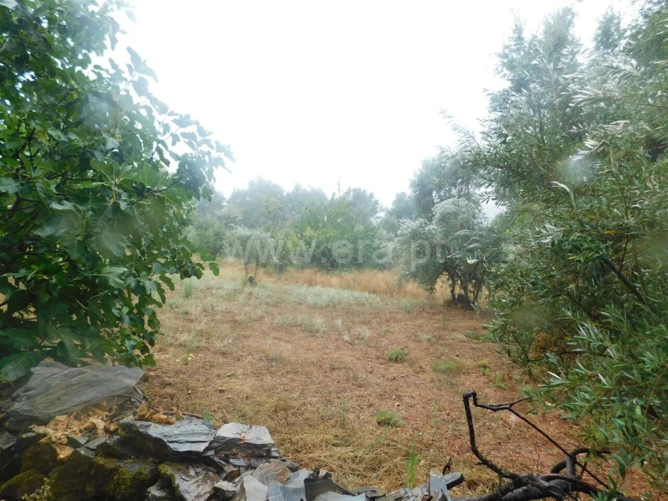 Terreno para Venda em Casegas e Ourondo Foto 3